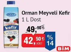 DOST ORMAN MEYVELİ KEFİR 1 L DOST ORMAN MEYVELİ KEFİR 1 L